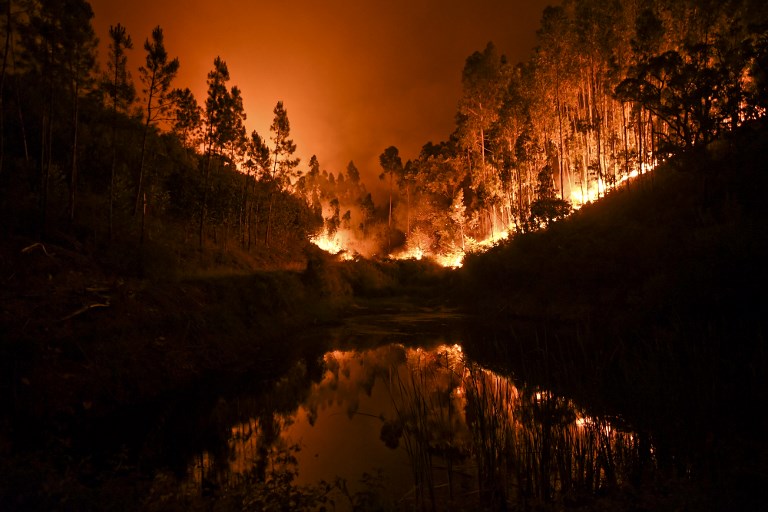 Erdőtűz Portugáliában: a több tucat halott nagyrészét az autójában érték el a lángok