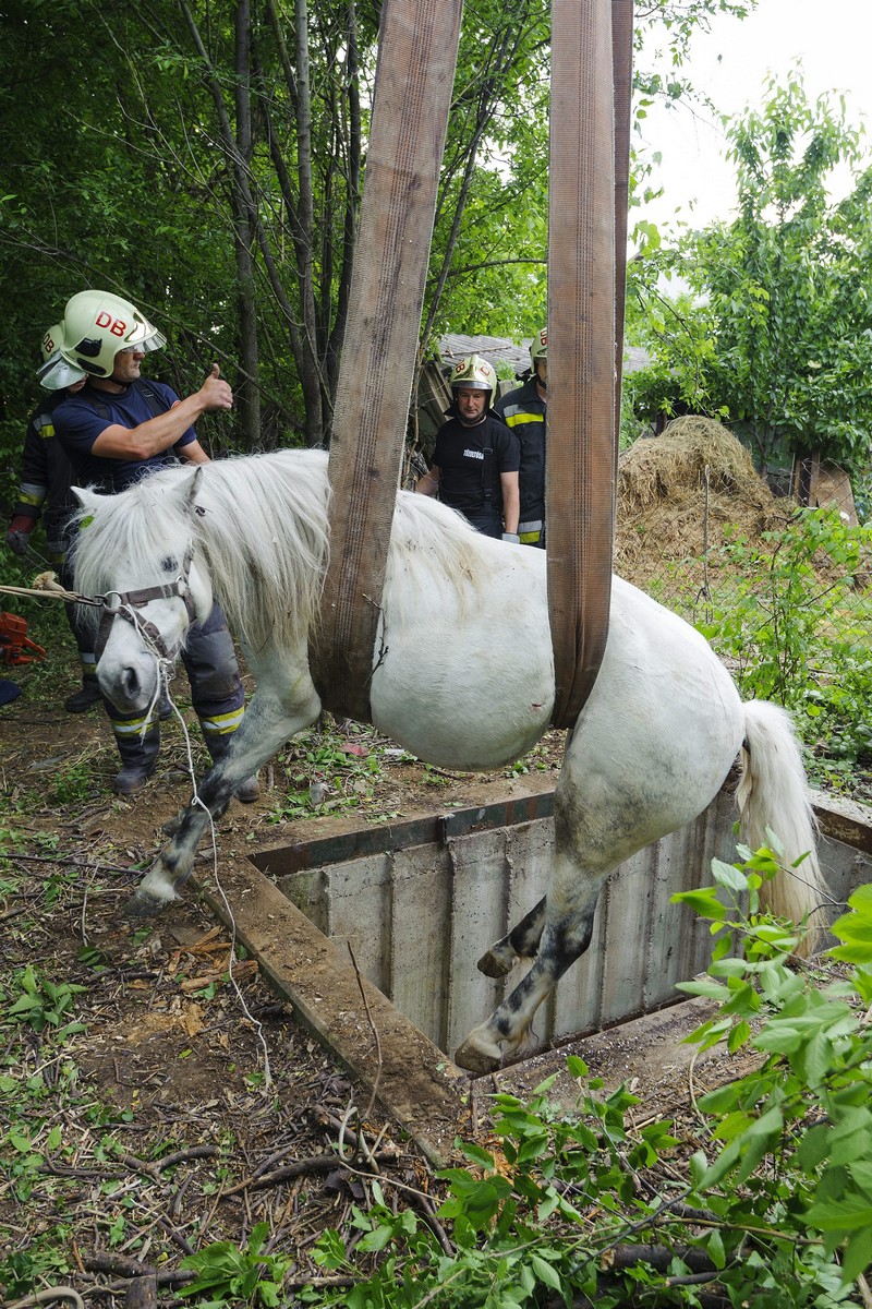 Így mentettek ki egy aknába esett lovat Debrecenben