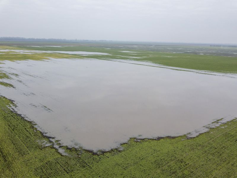 Több mint 13 ezer hektárt öntött el a belvíz Békésben