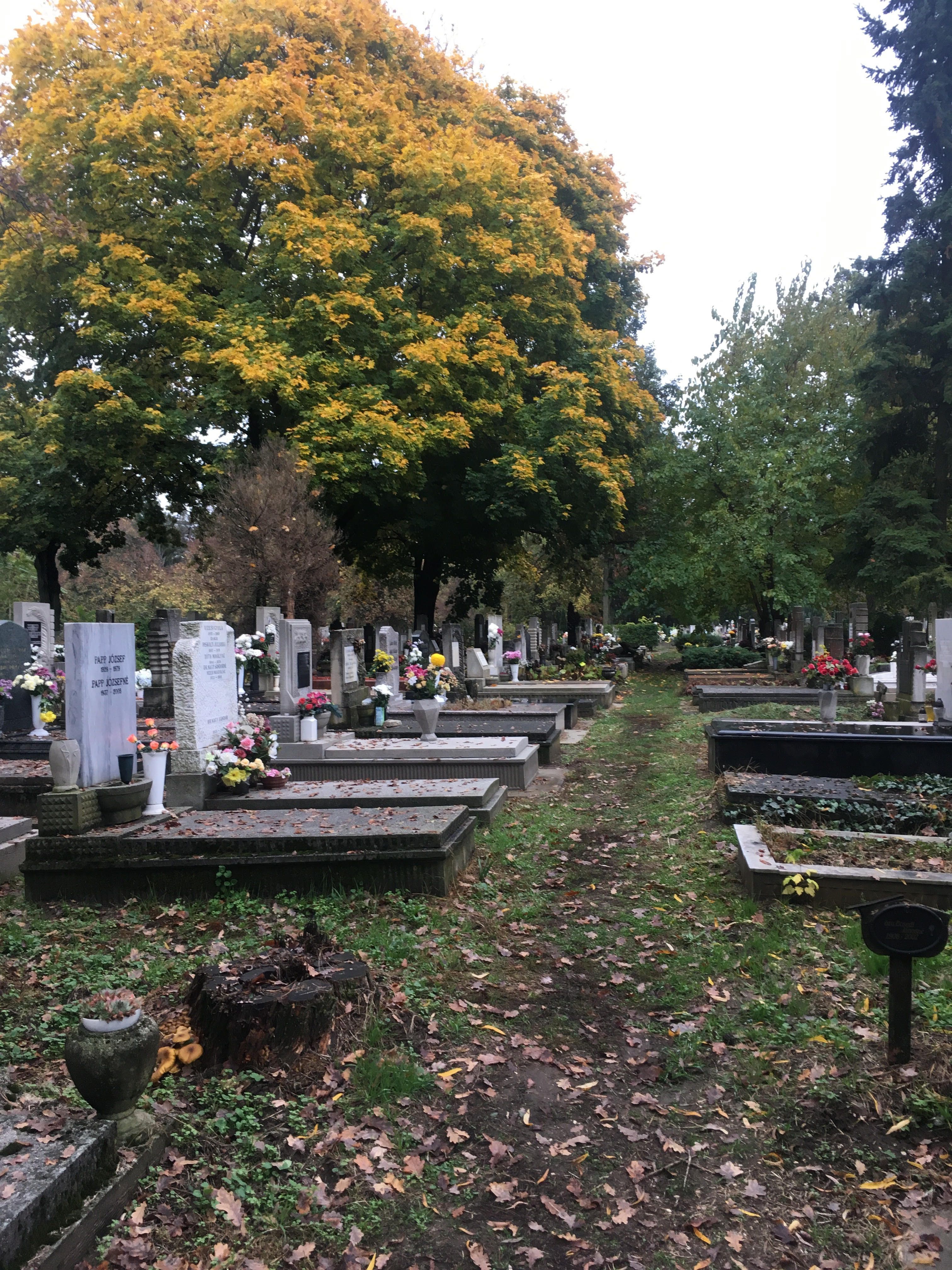 Meghalt a nő, aki kriptába zuhant a gödöllői temetőben