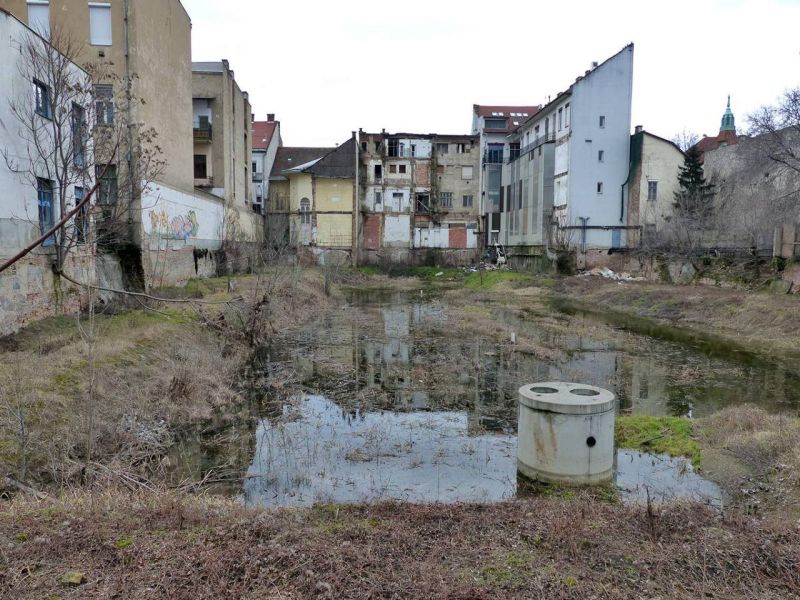 Hétéves lett a belvárosi mocsár Debrecenben