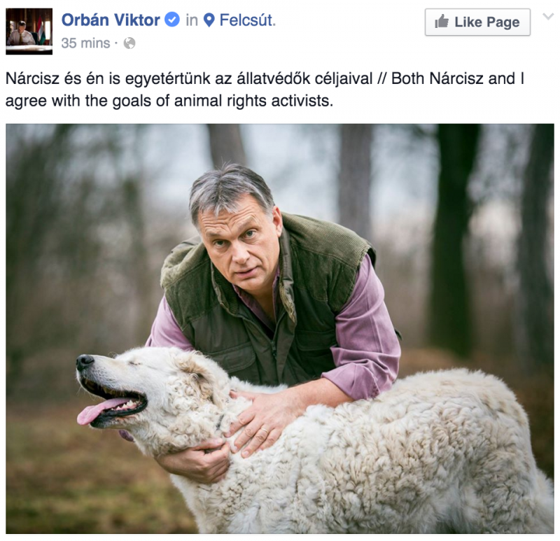Milyen diktatúra? Orbán kutyasimogatással válaszol Kubatov zsoldosainak reggelére