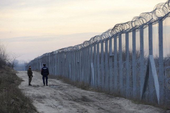 Erősítik a határzárt a magyar-szerb szakaszon