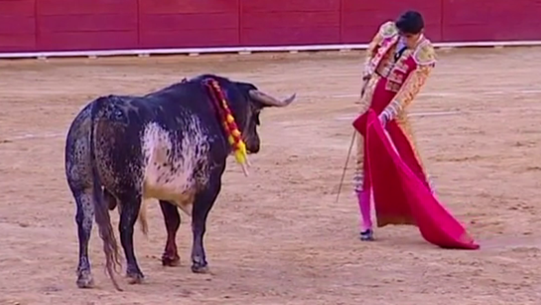 Élő adásban döfte halálra a bika az egyik leghíresebb spanyol matadort