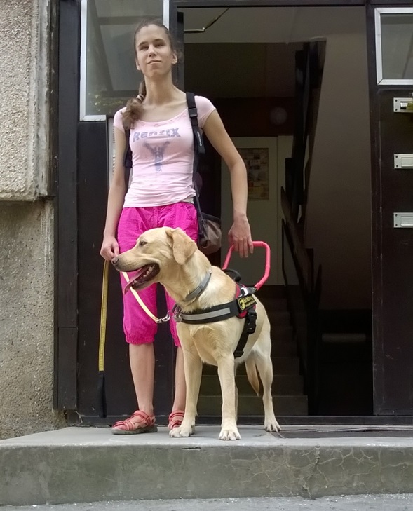 Vakvezető kutyája miatt egyetlen pécsi kollégium sem fogadja a látássérült Alexát