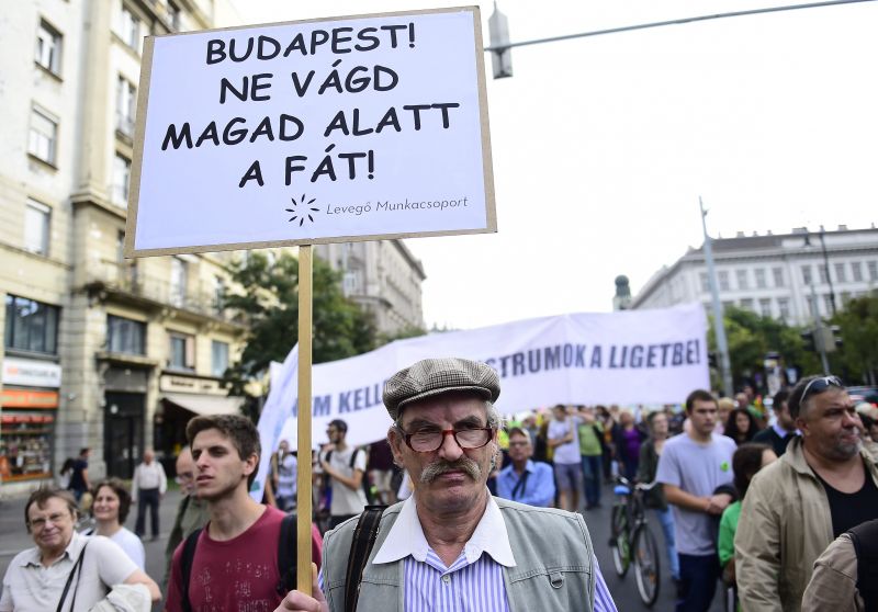 Budapest fáinak megvédéséért demonstráltak
