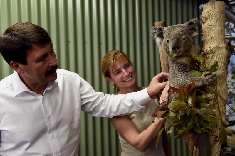 Áder János koalát simogatott Ausztráliában