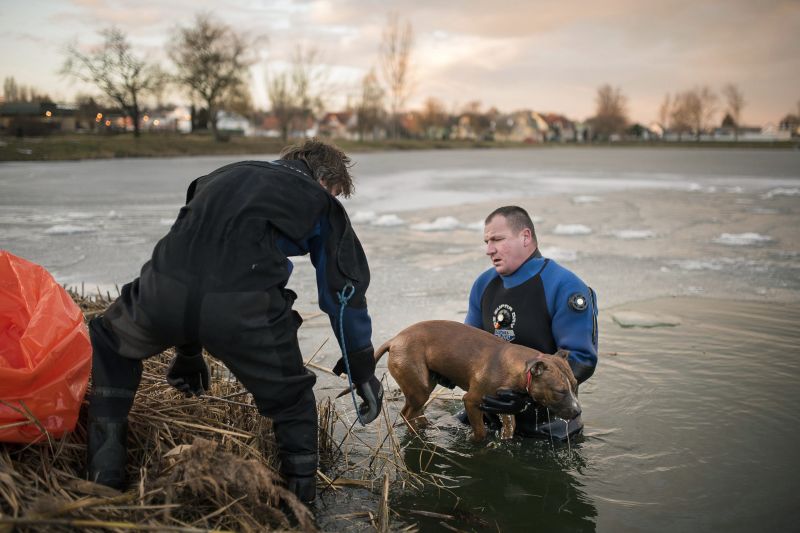 Nem sikerült megmenteni a nyíregyházi tóba fagyott kutyát