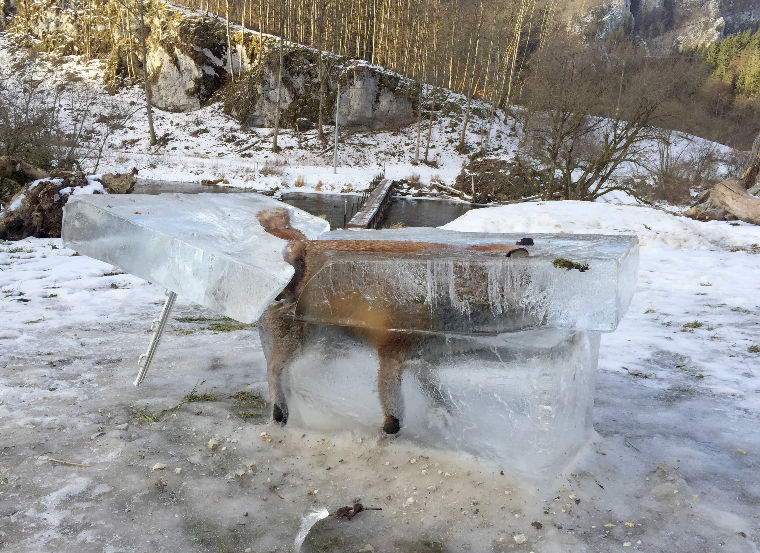 Láncfűrésszel vágták ki a Dunából a jégbe fagyott rókát