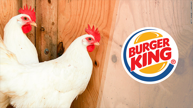 Kiáll a csirkék kínzása ellen a Burger King