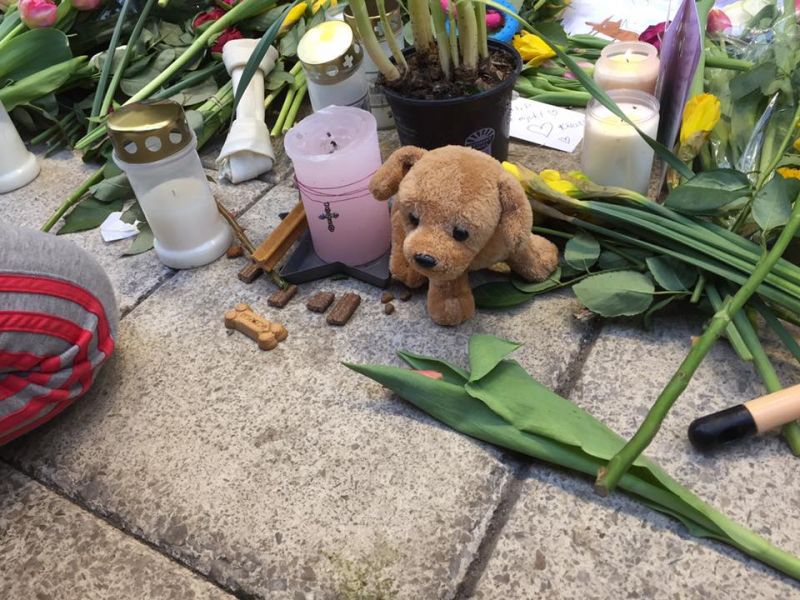 Szívszorító, ahogy megemlékeztek a stockholmi terrortámadásban elhunyt kutyáról