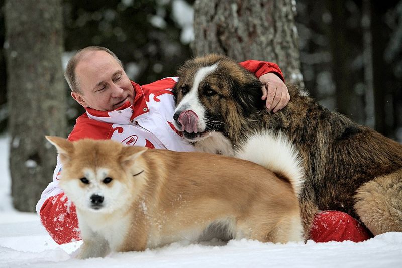 Ennél nincsen szívmelengetőbb: az oroszok Putyint adnak Valentin-napra