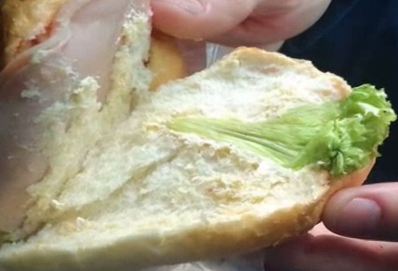 Penészes, gusztustalan szendvicseket adtak a határvédőknek