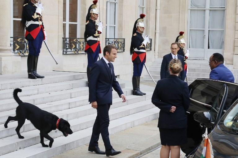 Macron bemutatta Nemót, az elnöki kutyát