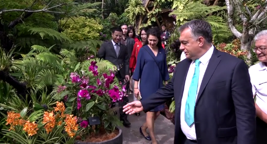 Virágot neveztek el Orbán Viktorról – videó