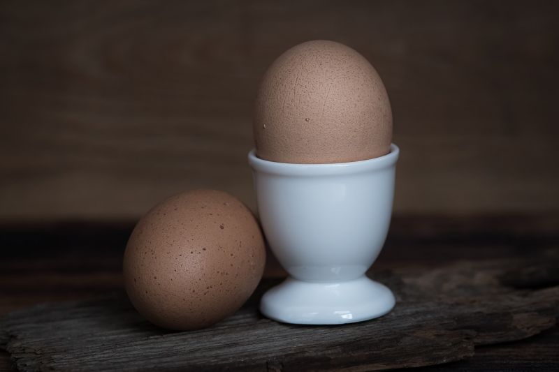 Fipronillal szennyezett tojást találtak szlovén termelőknél