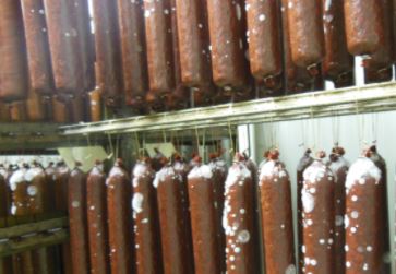 Több mint 2,5 tonna penészes húst vont ki a forgalomból Kalocsán a Nébih – videó