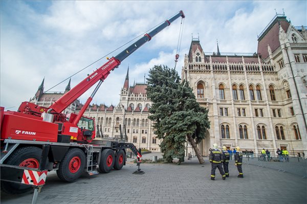 Tűzoltók bontották le az ország karácsonyfáját