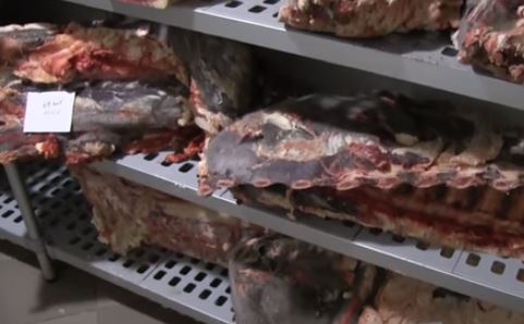Egy tonna penészes marhahúst vontak ki a forgalomból Baranyában – videó