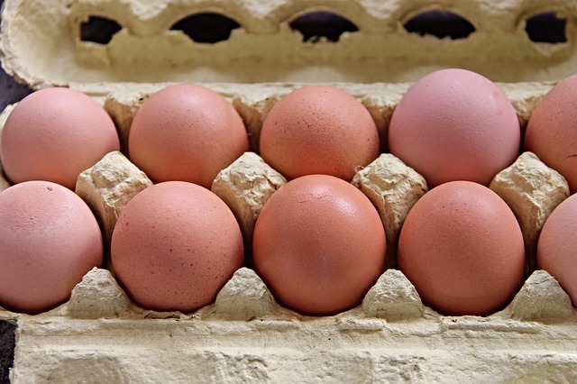Ötmillió forint értékű tojás megsemmisítését rendelete el a NAV  – a jelöletlen biotojásokra Rábafüzesen csaptak le
