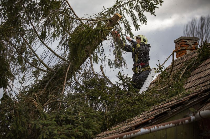 Így pusztított a Ciara: fákat csavart ki, tetőket, épületeket rongált meg a viharos szél országszerte