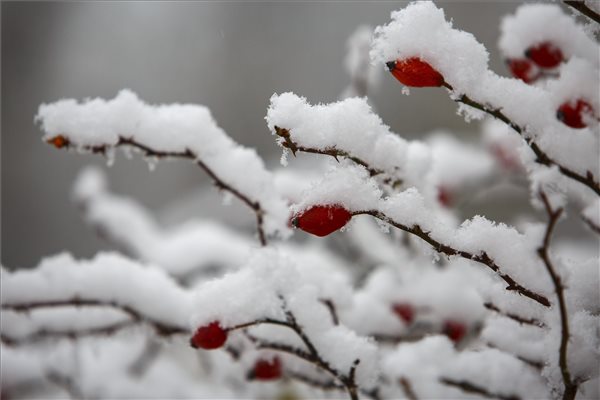 Kegyetlenül betört a tél: több helyen is havazik az országban, Budapesten is leesett az első hó – videó
