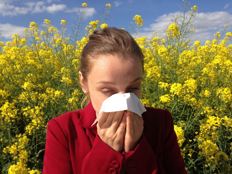 Kezd bedurranni az allergiaszezon