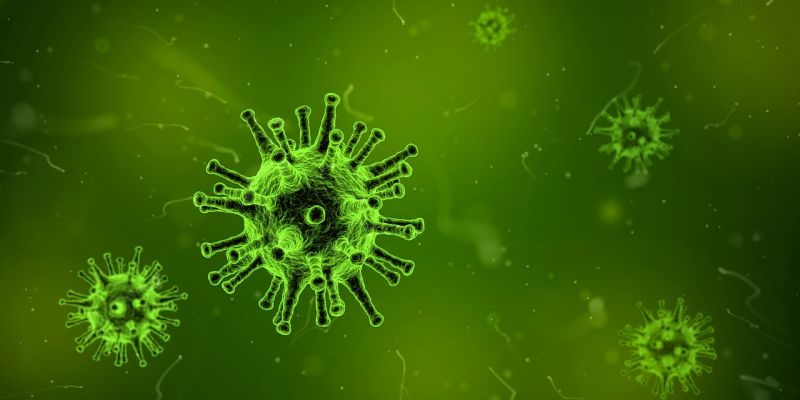 Immunerősítő vírust azonosítottak amerikai tudósok
