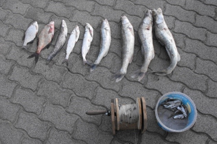 Orvhalászt értek tetten a Balatonnál, ekkora volt a zsákmány