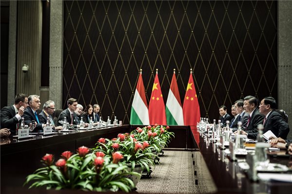 Szakértő a köztévében: nagy dicsőség Magyarországnak, hogy az egyik díszvendége a kínai expónak 