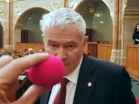 Videó: bohócorral gúnyolták Polt Pétert, a legfőbb ügyész kiviharzott a parlamentből