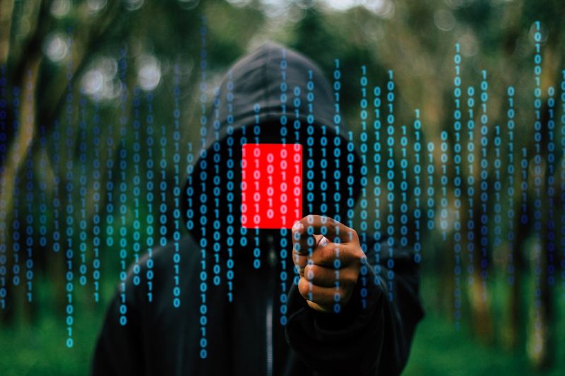 Felmérés: 2019-ben tovább nőhet a netes adathalász támadások száma