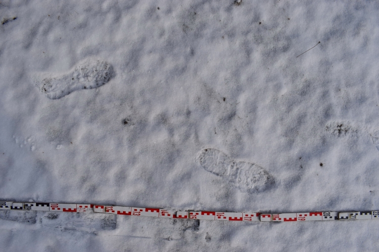 Lábnyomok a hóban: lebukott a megrögzött ózdi betörő