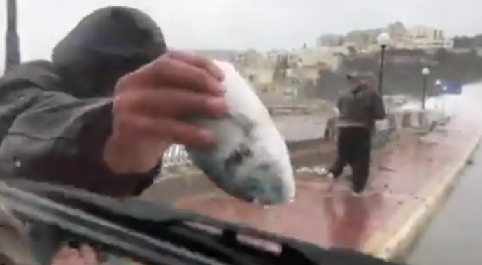 Máltára akkora vihar csapott le, hogy az utcán lehetett halászni – videó