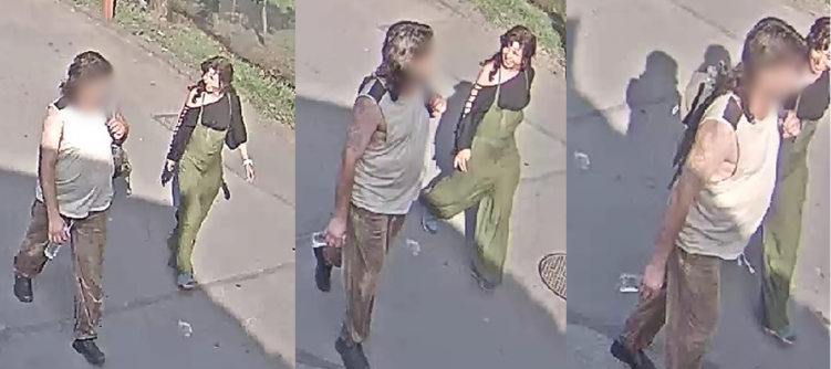 Kockaköves teknős-gyilkos: a rendőrség nyilvánosságra hozta a zöld overallos nő fotóit