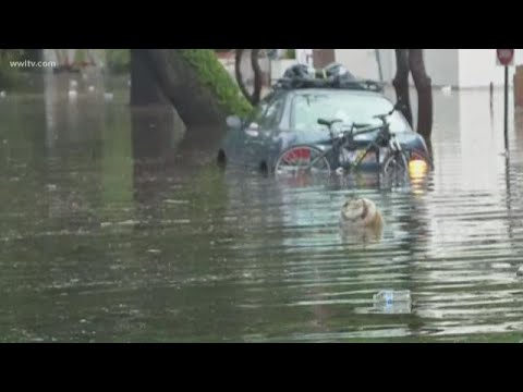 New Orleansban szükségállapotot hirdettek: özönvíz, áradások, hurrikán