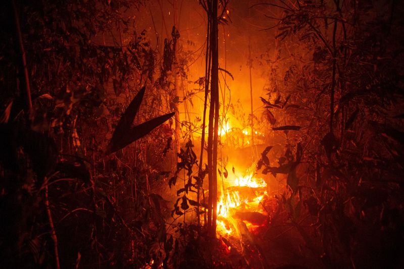 Kósa is belepirulna: négyszer annyi tűz ég az Amazonas mentén, mint egy éve