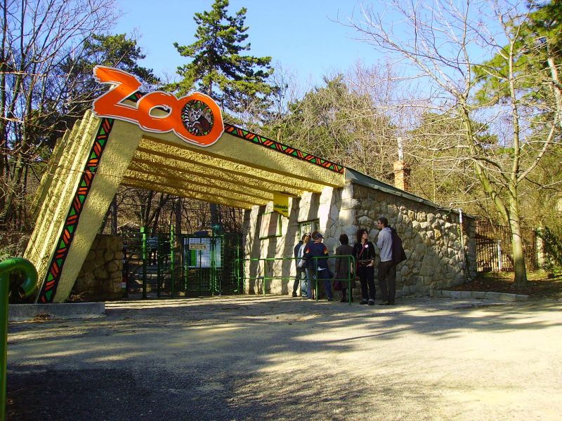 Éjjeli látványetetés a pécsi állatkertben