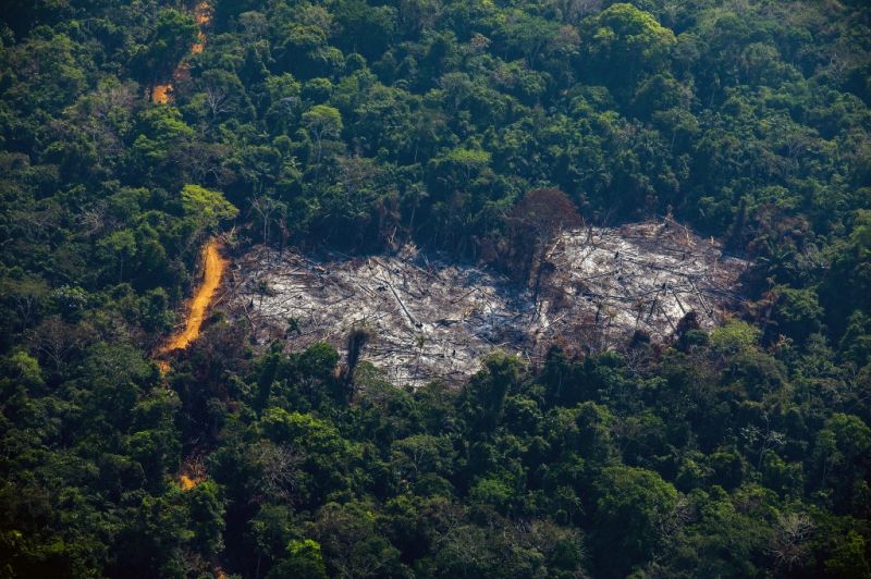 Amazónia védelmére kötött megállapodást több ország
