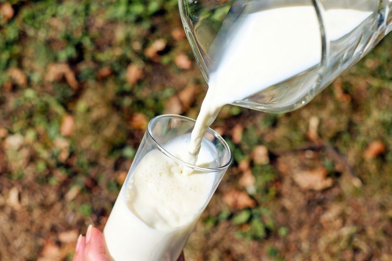 Fél év alatt 6 százalékkal emelkedett a tej felvásárlási ára