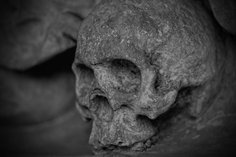 Több tucat koponyát találtak egy mexikói razzia alatt