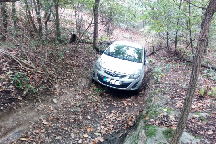 Nagy bajba került egy idős asszony a Soproni-hegységben: rendőrök mentek érte