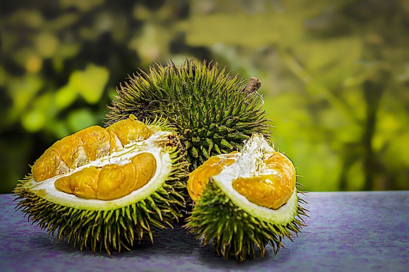 Íme a világ legbüdösebb gyümölcse, a durián