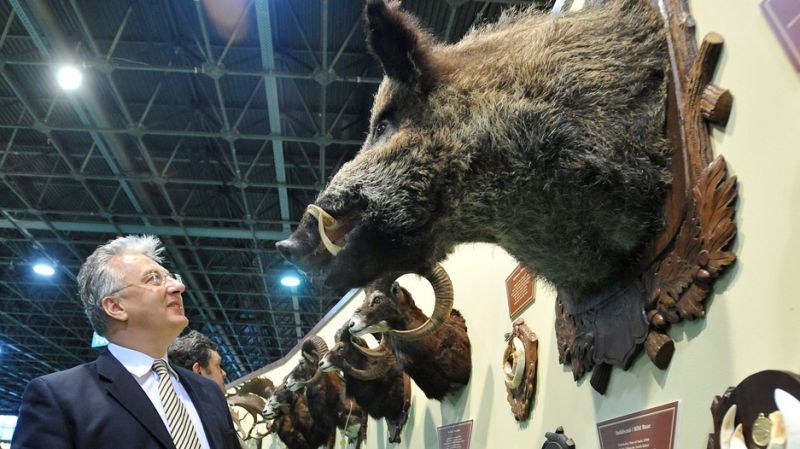 Adómentessé tenné a vadászaton kilőtt állatok húsát a KDNP