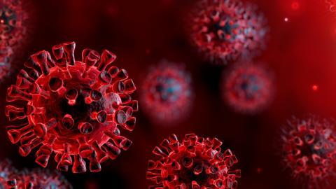 Koronavírus: két újabb orvos halt meg