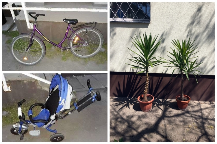 13 biciklit, egy babakocsit és két cserepes pálmát lopott egy tolvaj Kiskunhalason