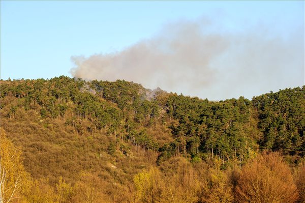 Kigyulladt az erdő Budaörsön, gyorsan terjednek a lángok