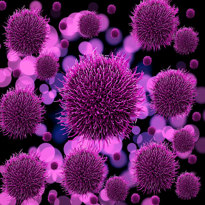 Kiderült, ki járt igazán jól a koronavírus-járvánnyal