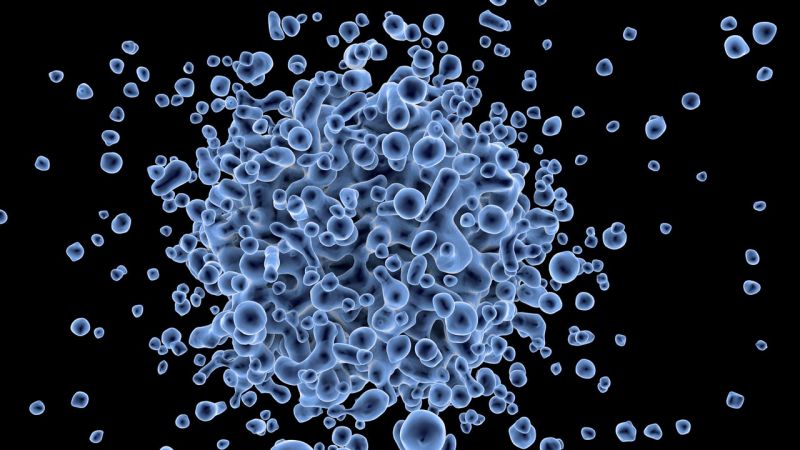 Koronavírus: vészesen közelít a halottak száma az egymillióhoz – a fertőzöttek is brutálisan sokan vannak
