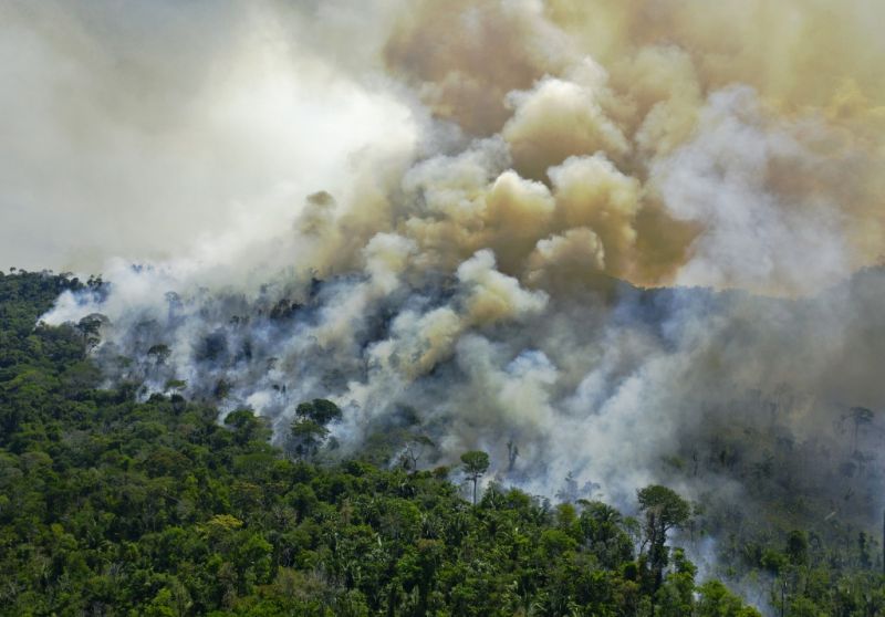 A brazíliai őserdő még a tavalyi ütemnél is gyorsabban pusztul